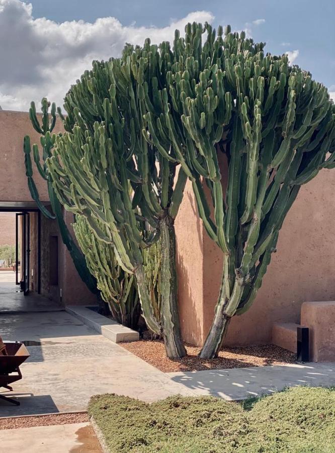 Villa K Marrakesh Exterior foto